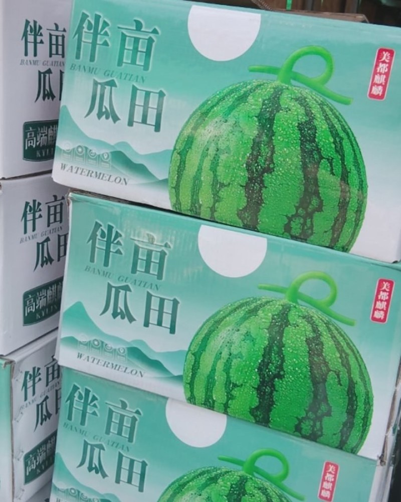 精品无籽麒麟瓜