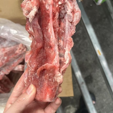 羊蝎子
