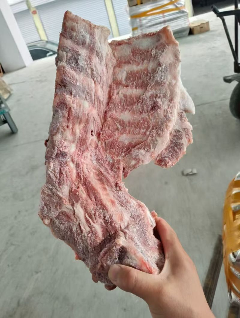 猪胫骨3237