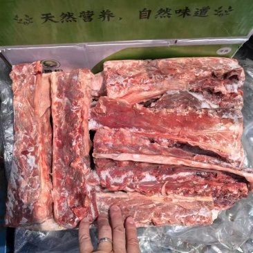 羊蝎子，多肉
