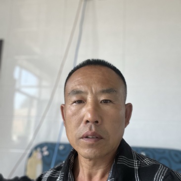 吊冬瓜