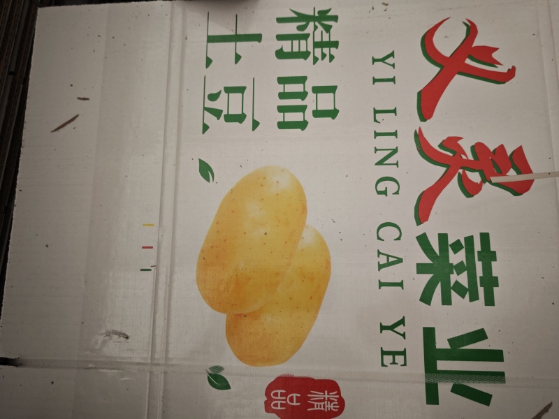 新疆精选土豆，911，沃土，实验