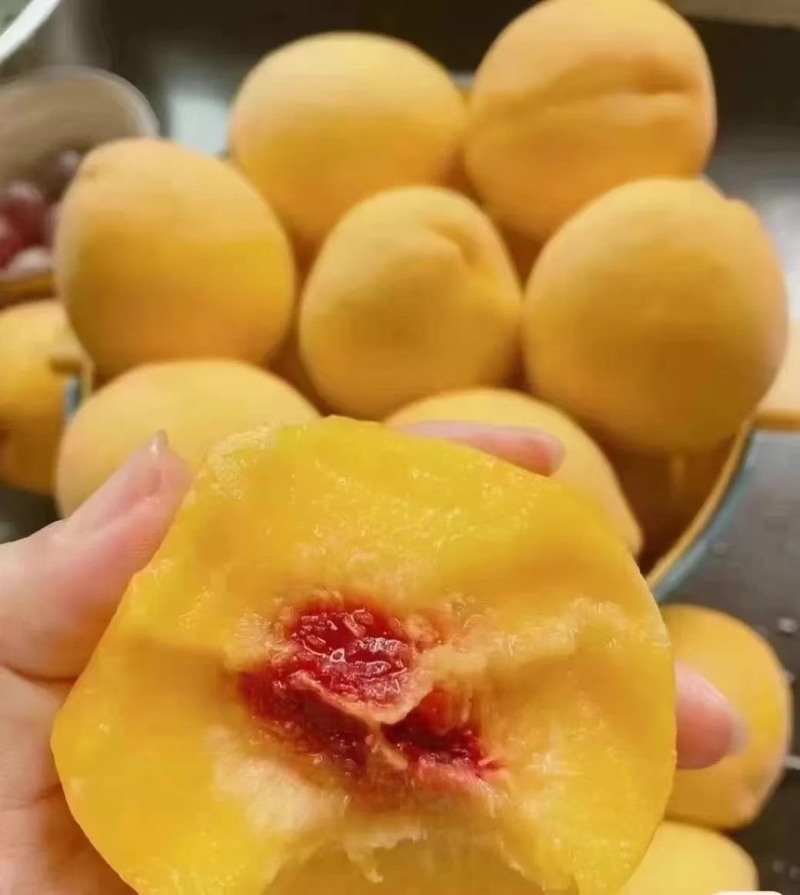 锦绣黄桃