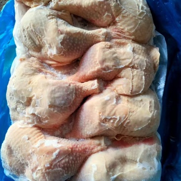 老鸡腿种鸡腿排腿新货价格您定