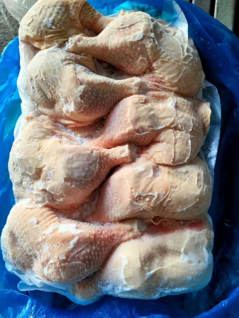 老鸡腿种鸡腿排腿新货价格您定