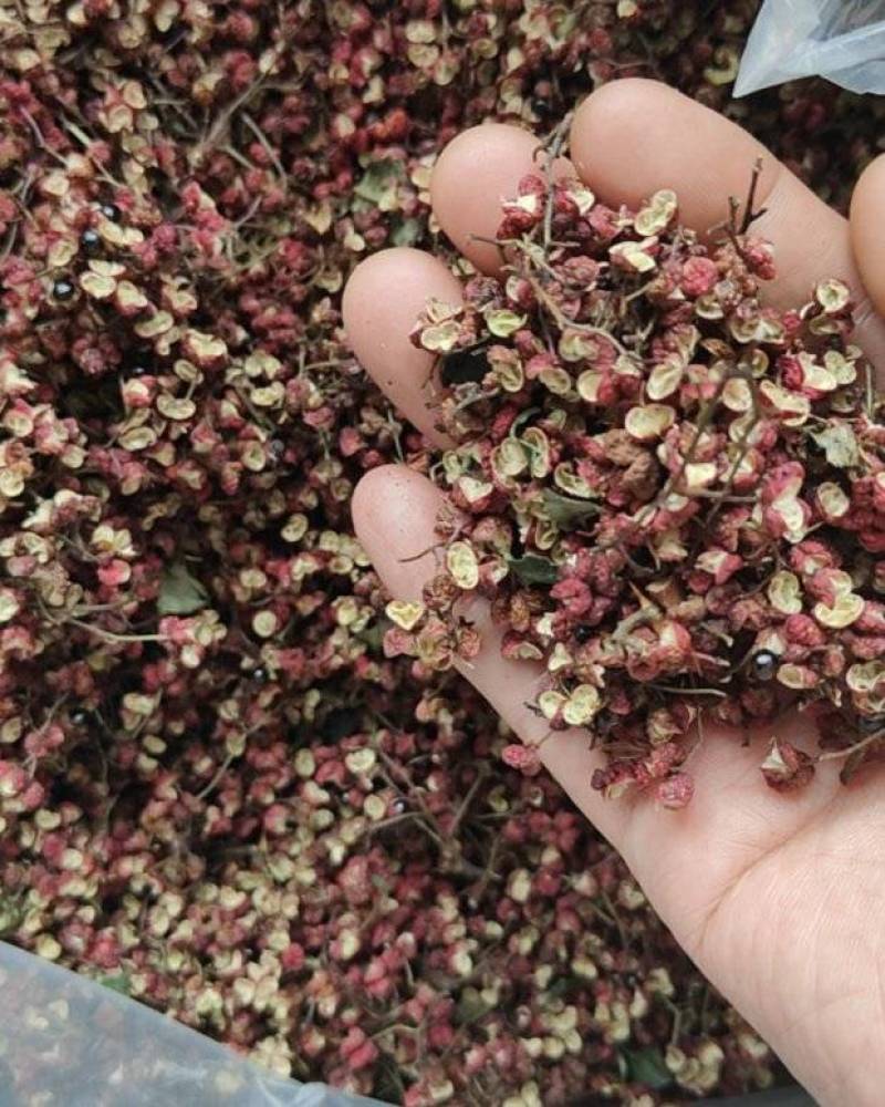 甘肃大红袍伏油花椒