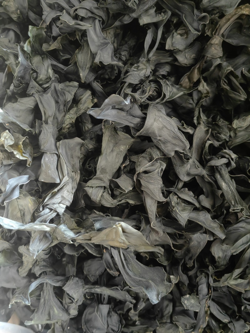免洗烘干海带结海带扣免洗海带头