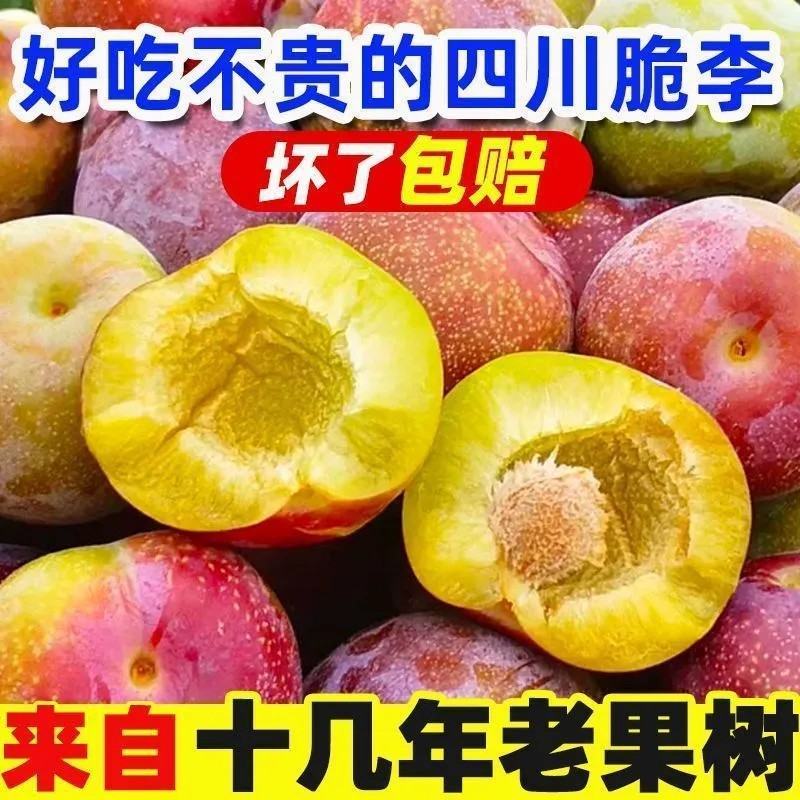 四川脱骨李子半边红脆红李新鲜自然熟孕妇空心李应季水果整彩箱