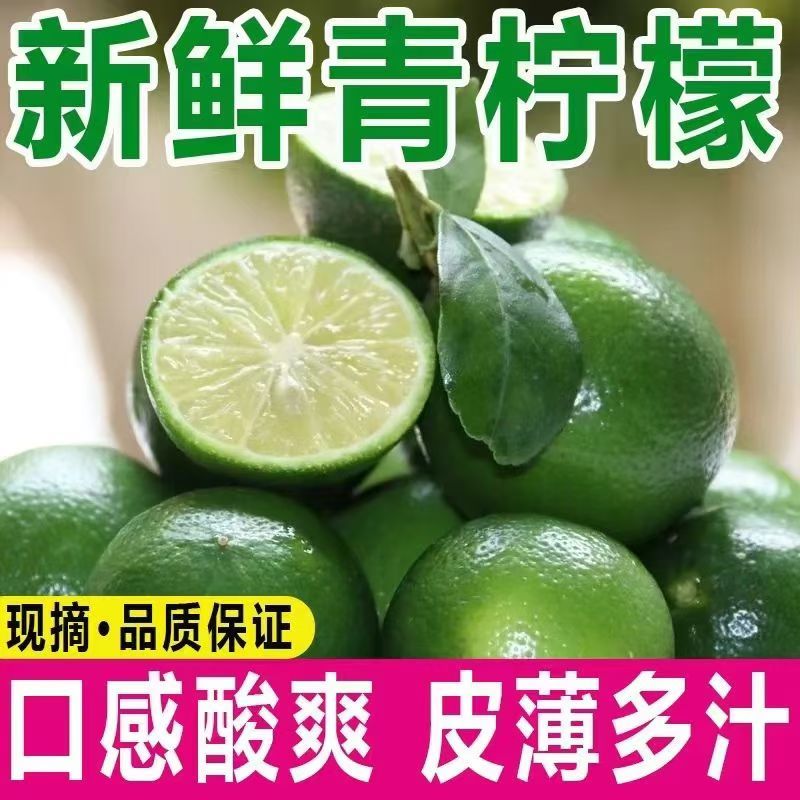 9.99抢云南高山尤力克柠檬青柠檬酸爽多汁