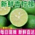 9.99抢云南高山尤力克柠檬青柠檬酸爽多汁