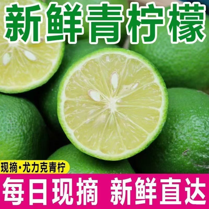9.99抢云南高山尤力克柠檬青柠檬酸爽多汁