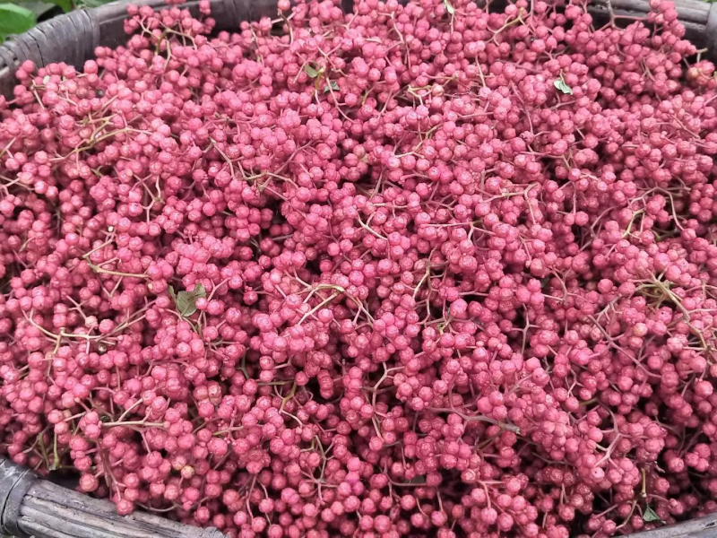 油花椒，自家产新！