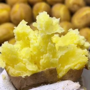 定西马铃薯