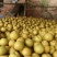 金秋梨🍐