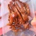 卤味鸭货