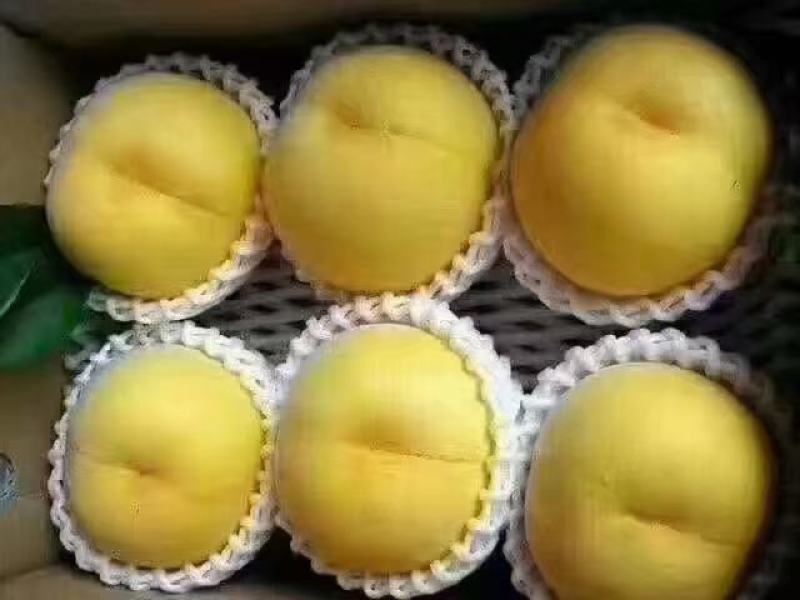 黄桃