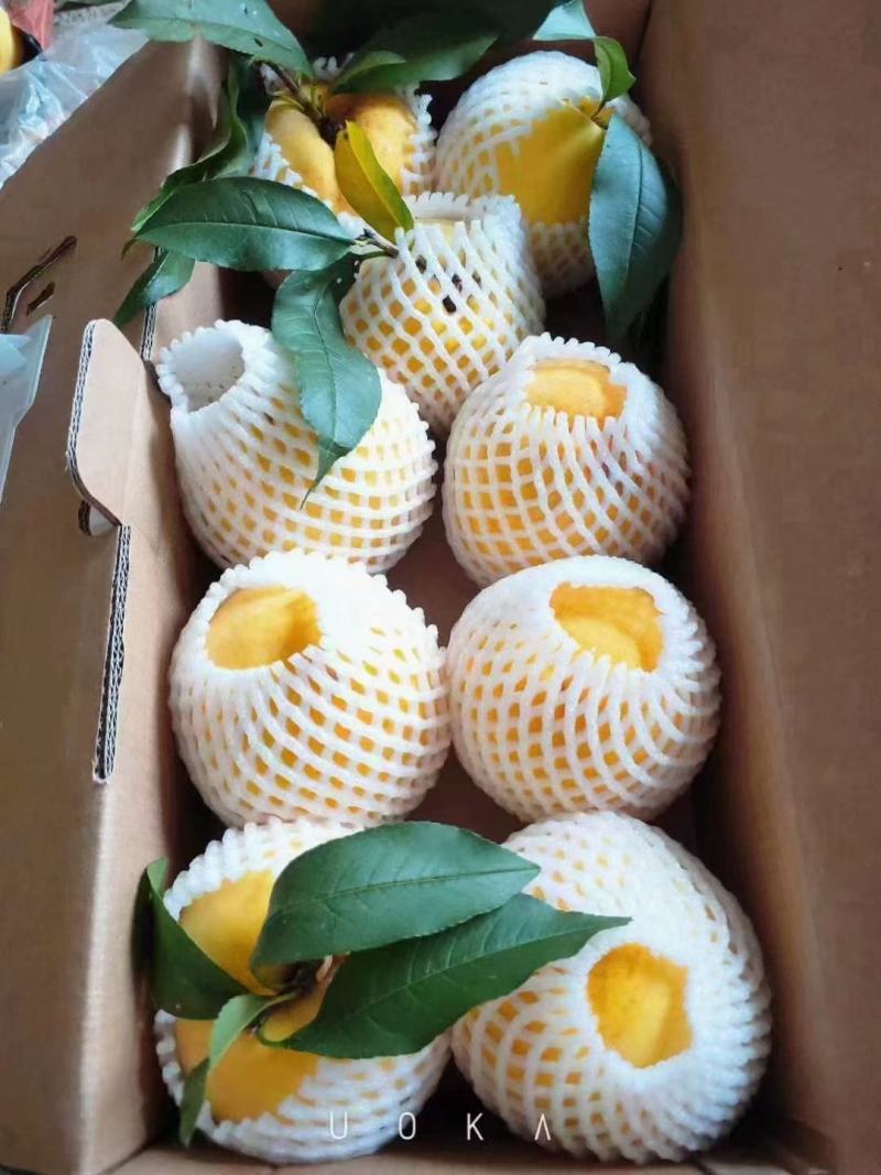 黄桃