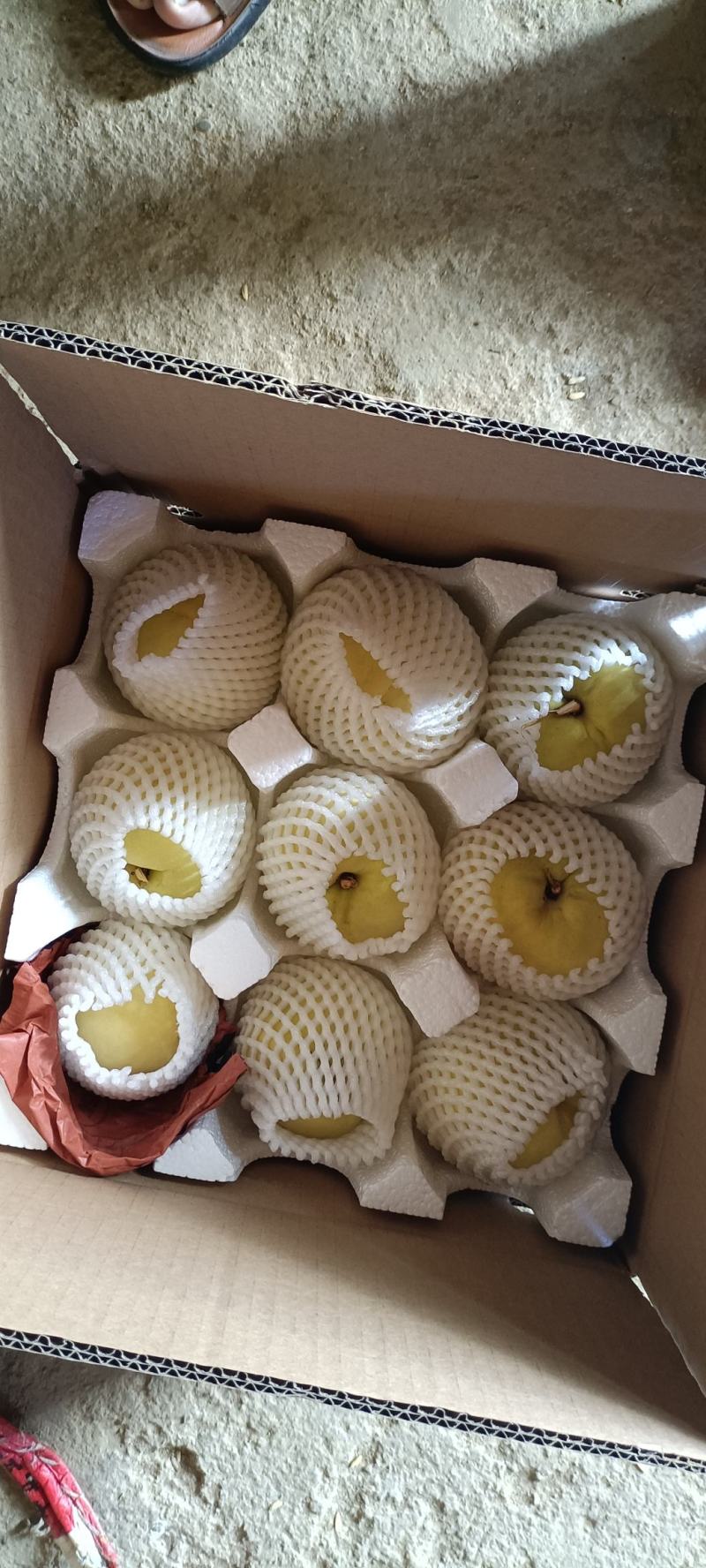 黄桃