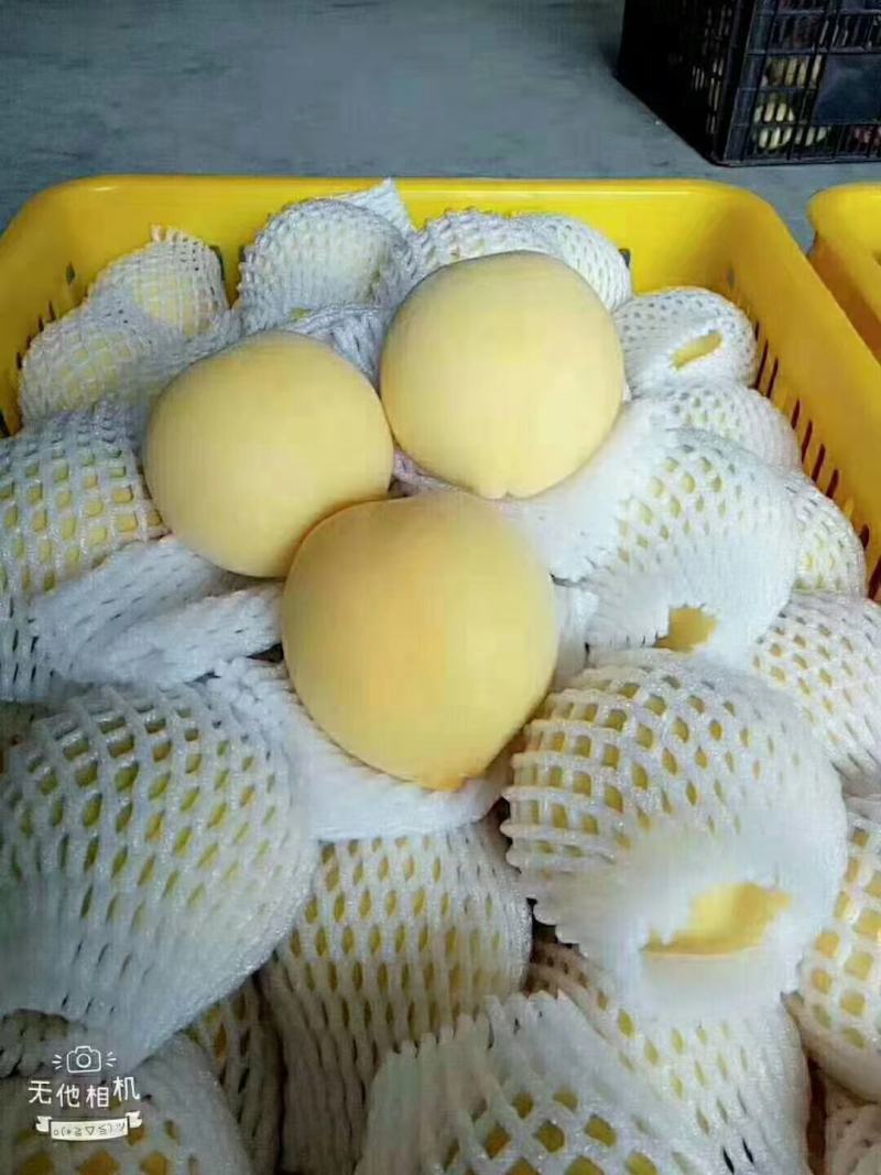黄桃