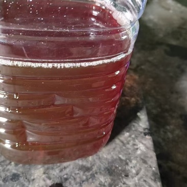 正宗客家酒镇白酒，百米酒老酒都有。