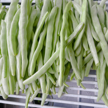 豆角