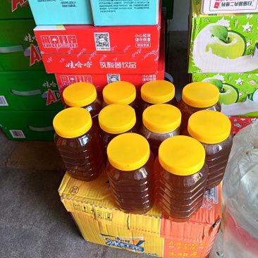 江西野生蜂蜜