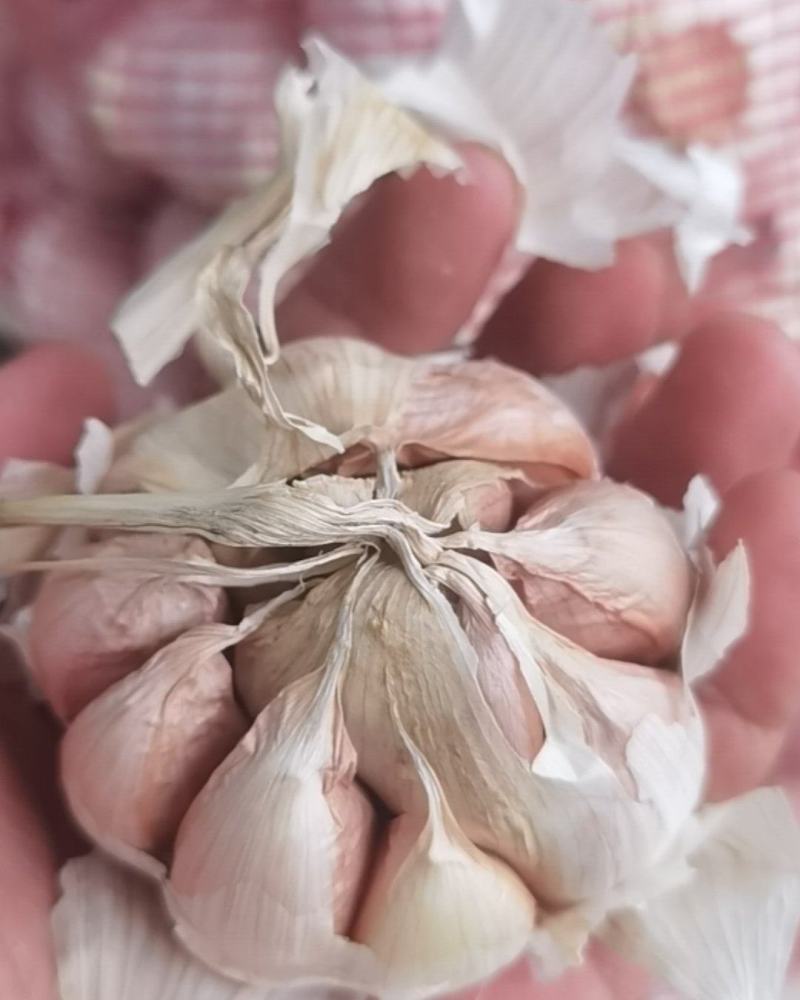 连云港大蒜🧄