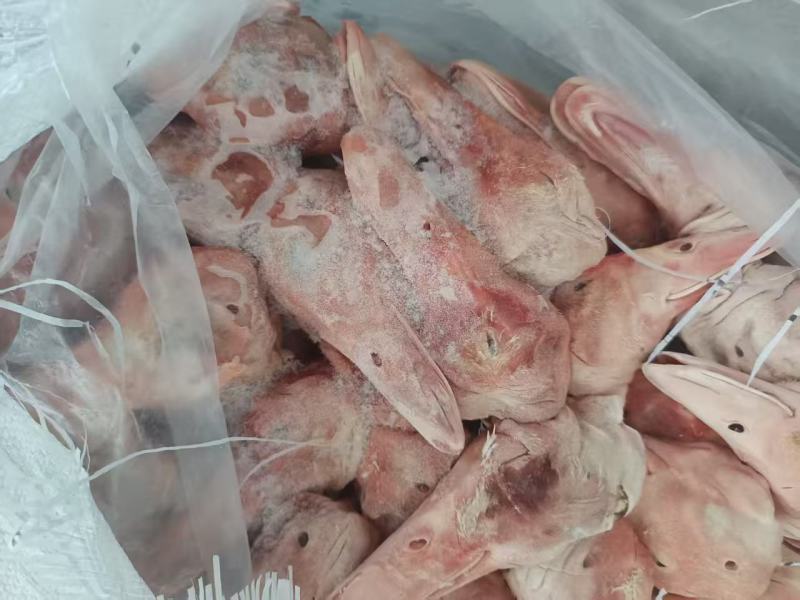 大板鸭头现货不多