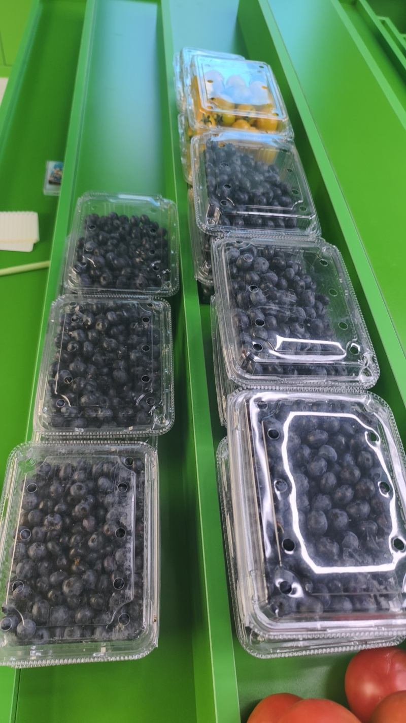 蓝莓冻果，3000斤