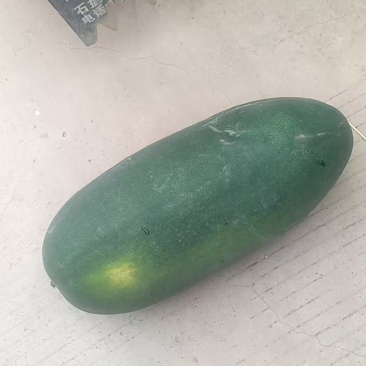 冬爪
