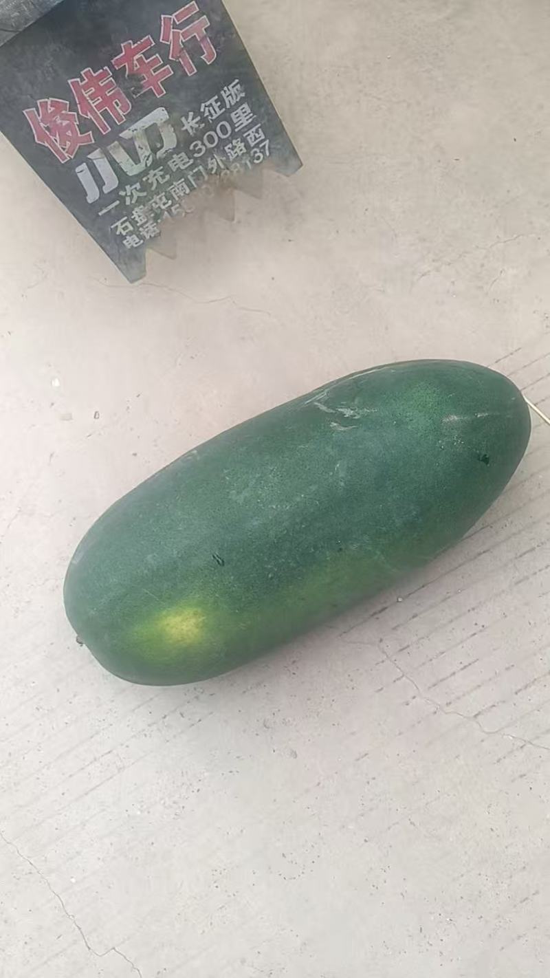 冬爪
