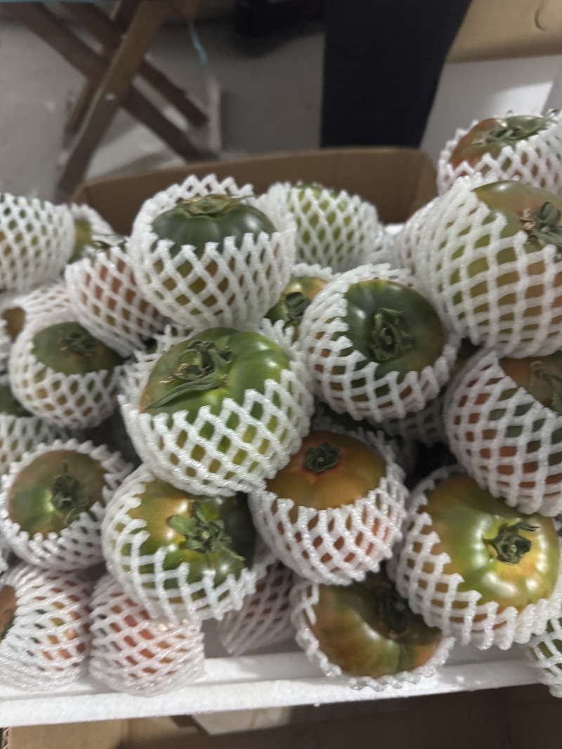 草莓西红柿全部精品有需要电话联系