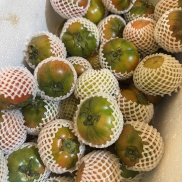 草莓西红柿全部精品有需要电话联系