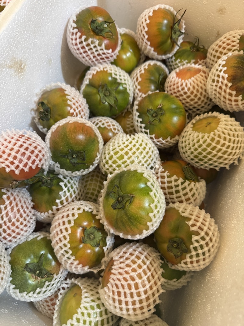 草莓西红柿全部精品有需要电话联系