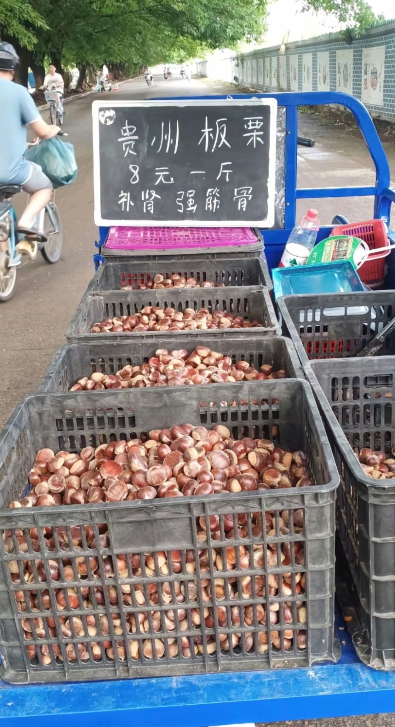 板栗
