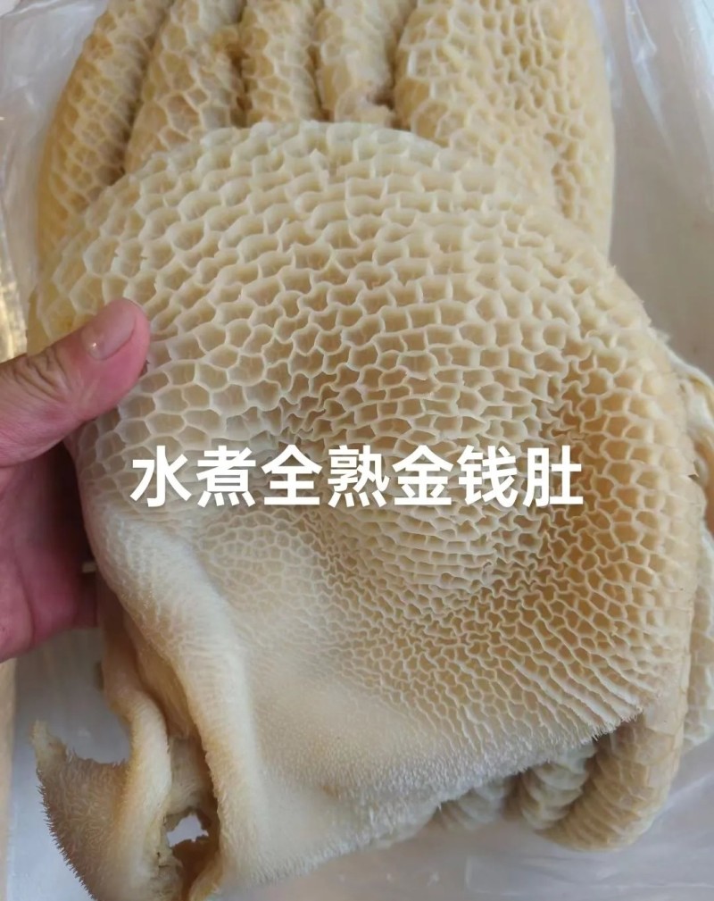金钱肚