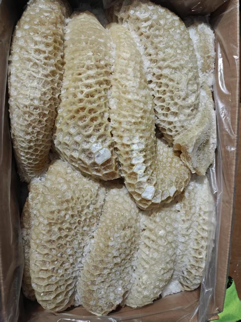 金钱肚