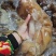 熟牛蹄