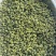 云南昭通青花椒大量上市需要的联系批发零售代办。
