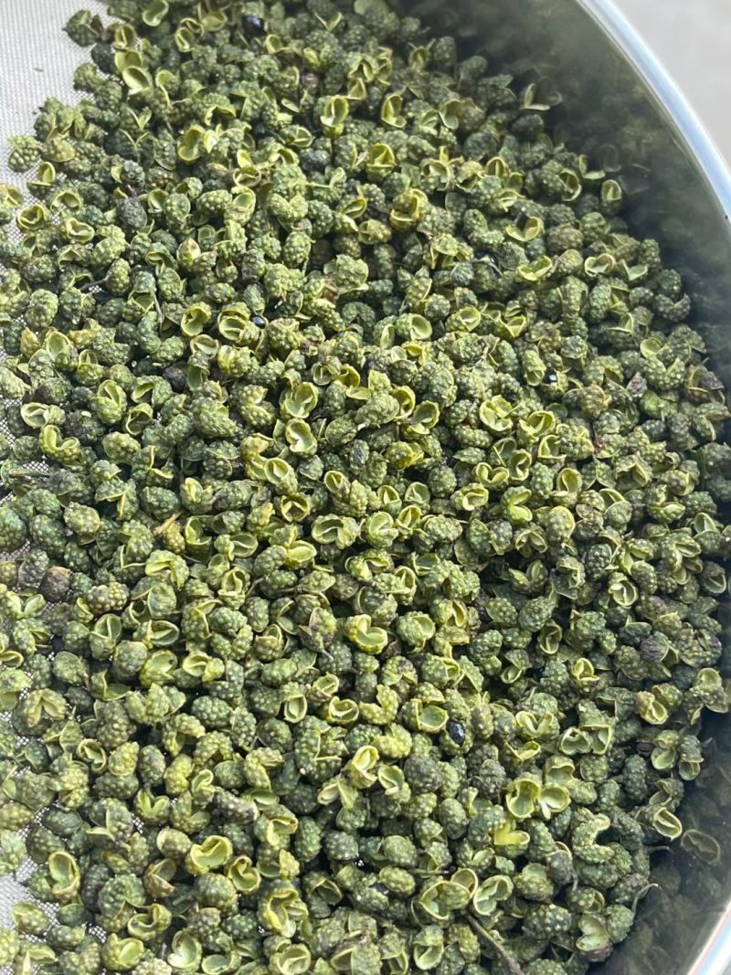 云南昭通青花椒大量上市需要的联系批发零售代办。