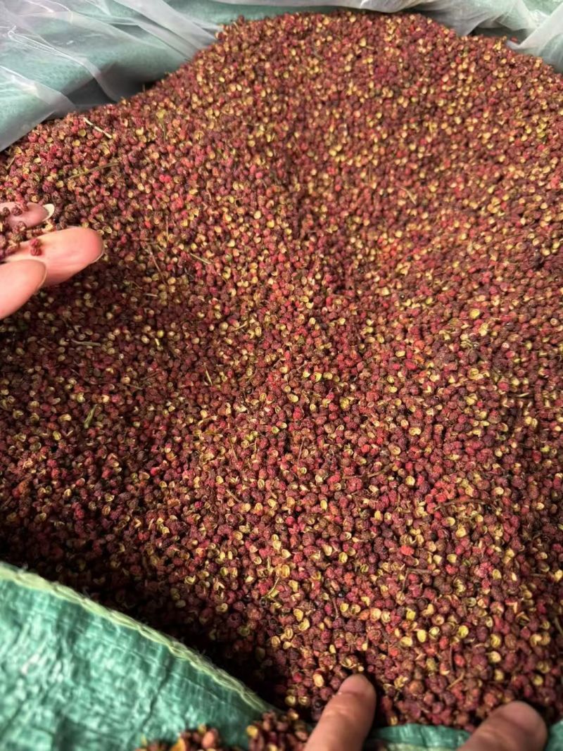 云南昭通青花椒大量上市需要的联系批发零售代办。