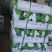 PE防草布90克，质保耐用