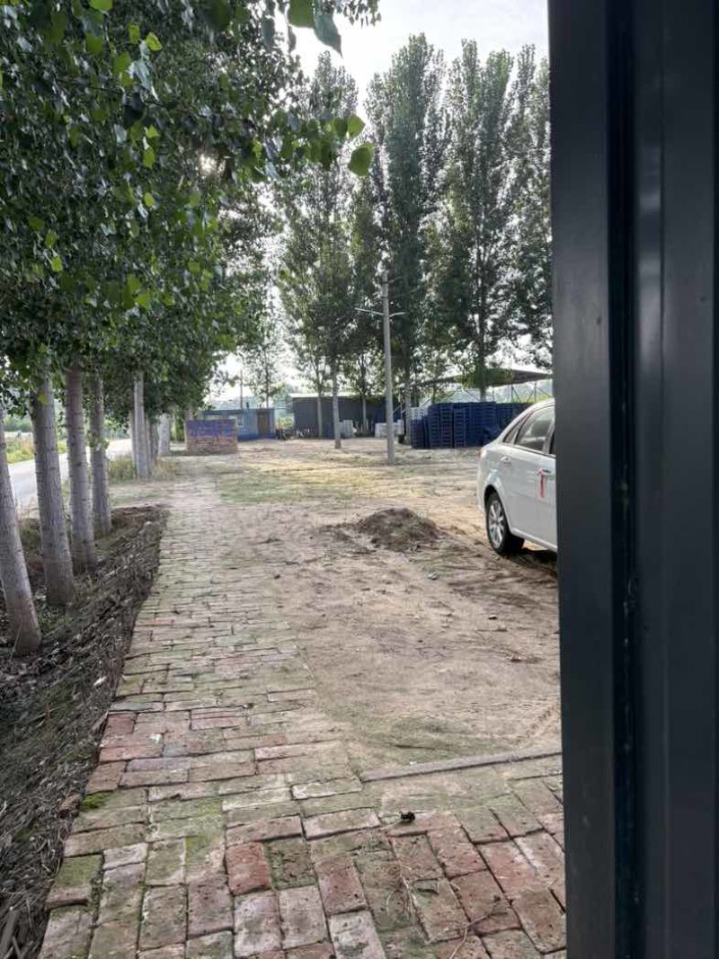 巨峰葡萄大串全红，小串全红，半青半红，大小粒，都有货