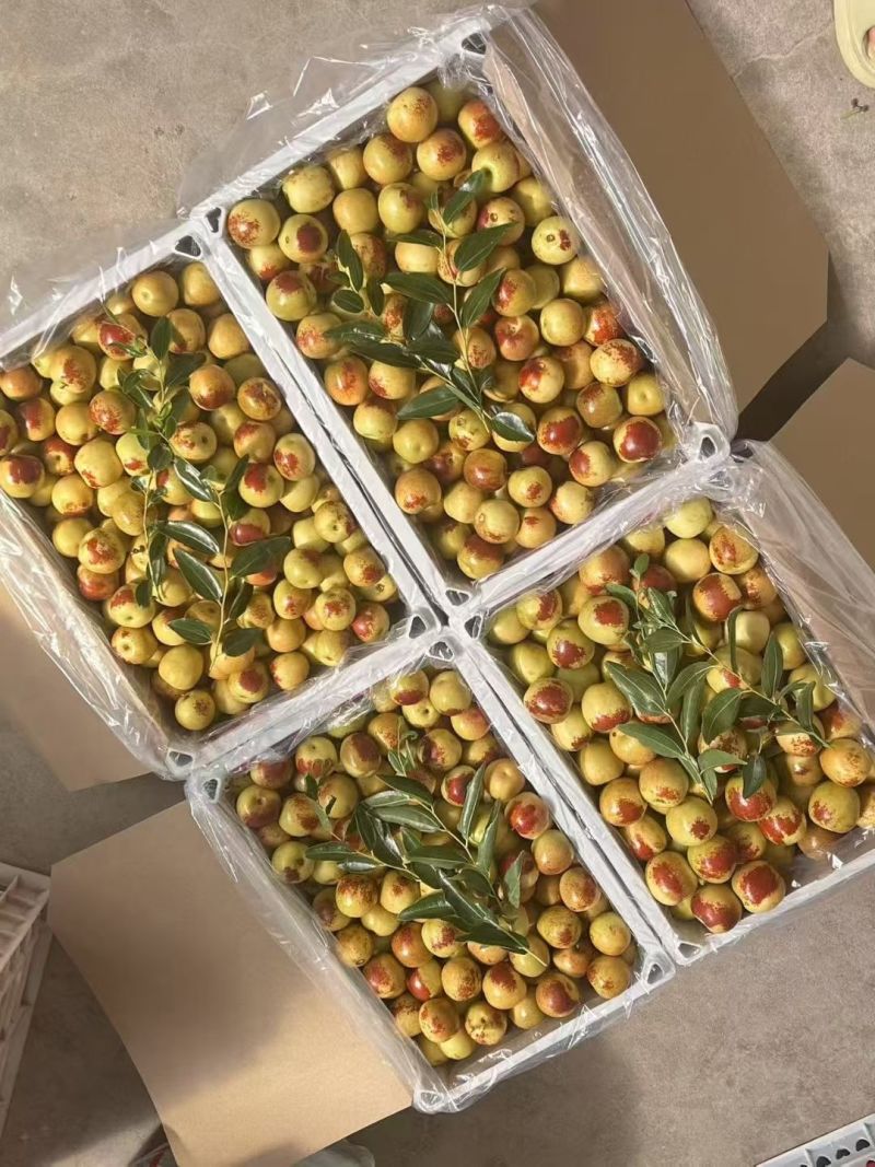 大荔冬枣