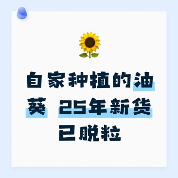 油葵