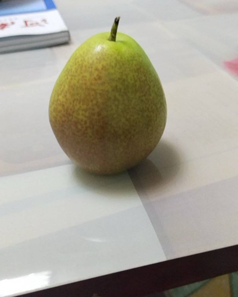 红香酥梨