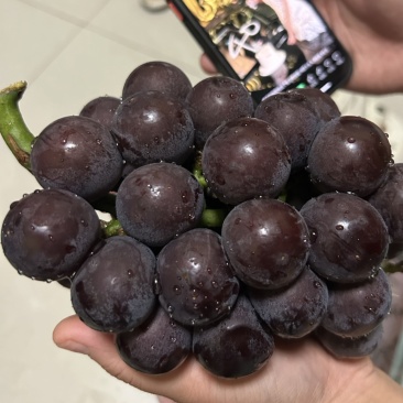 户太八号需要联系