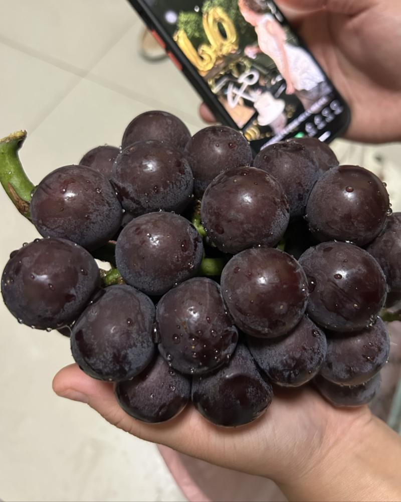 户太八号需要联系