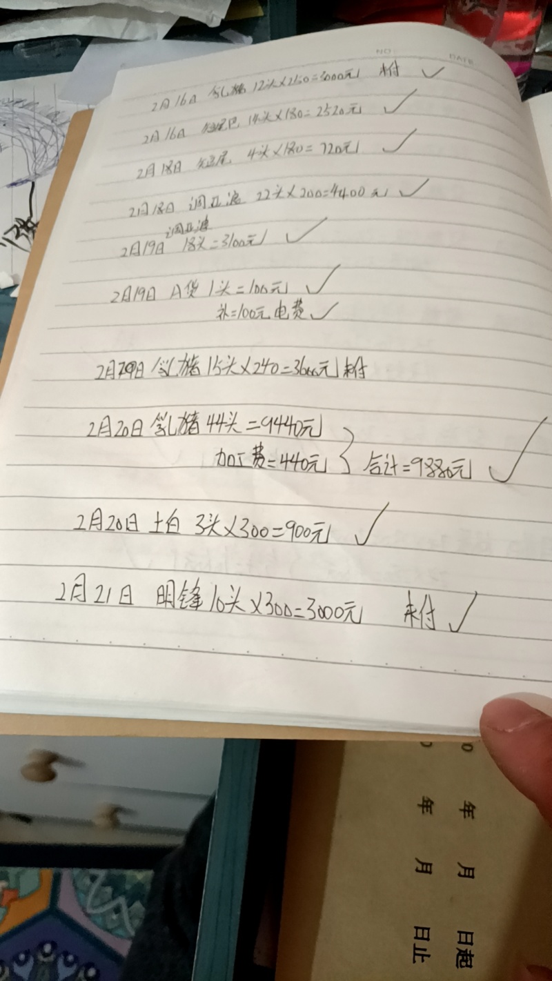 陈记小乳猪批发欢迎选购，广西陆川花都广西土白4/50
