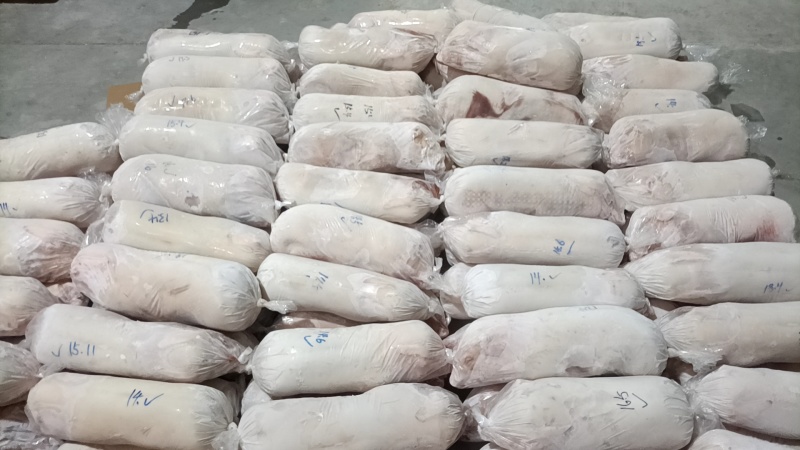 陈记小乳猪批发欢迎选购，广西陆川花都广西土白4/50